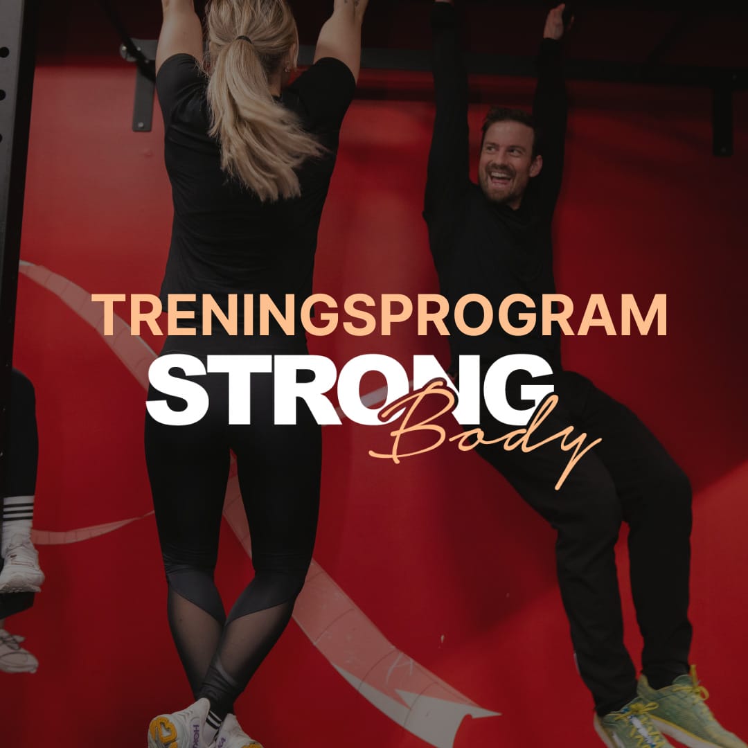 treningsprogram