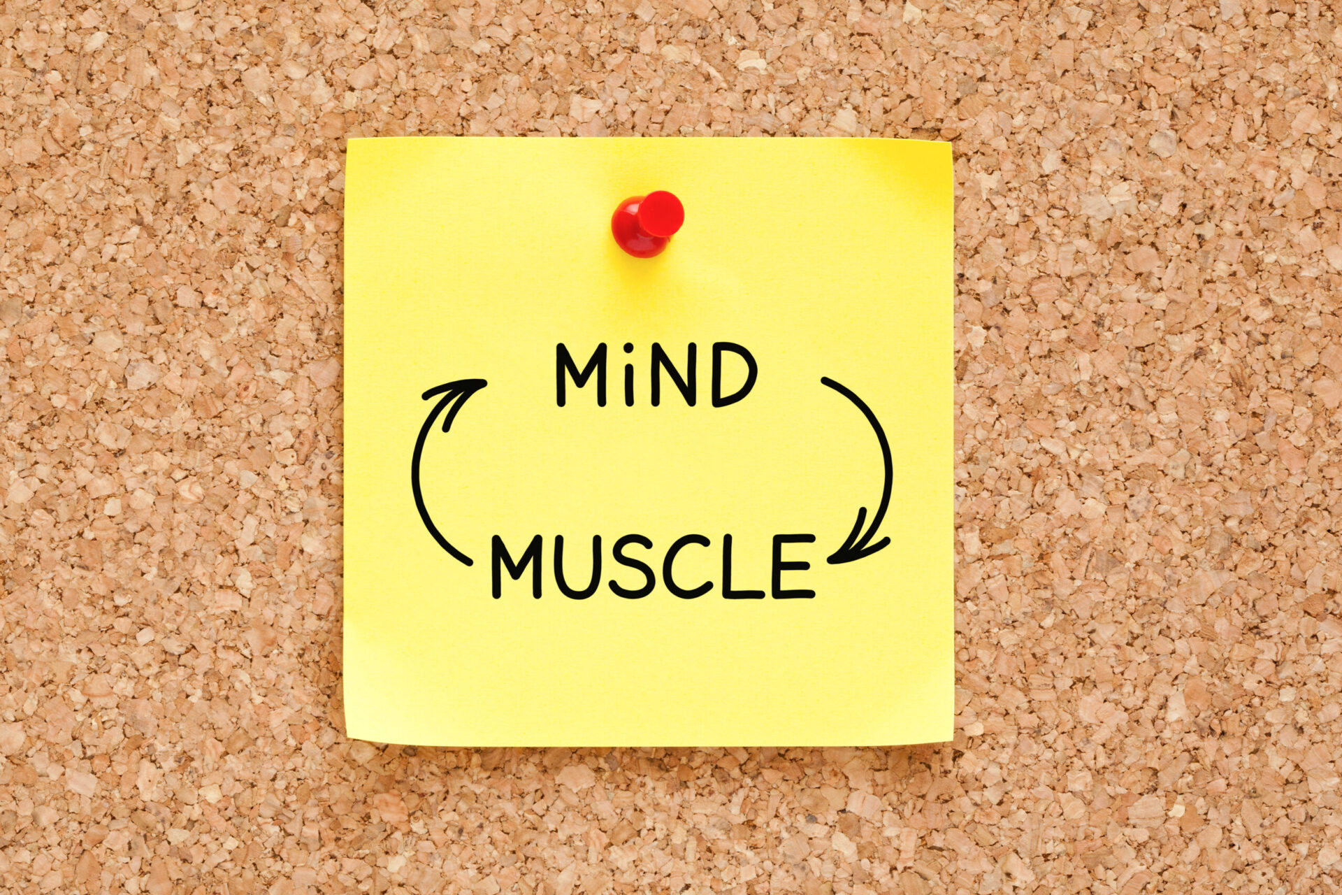 Mind and musle