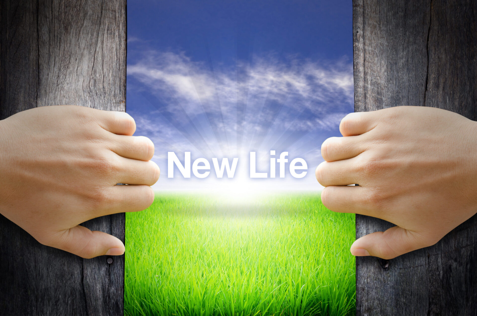 new life